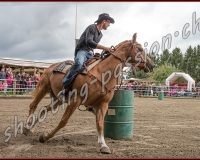 1FESTIGOTTE - 0409